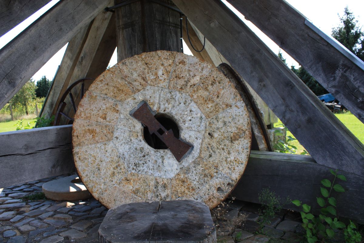 Bockwindmühle Grieben